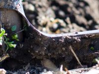 コンポスタブルパッケージング：環境に配慮した製品でない可能性がある3つの理由