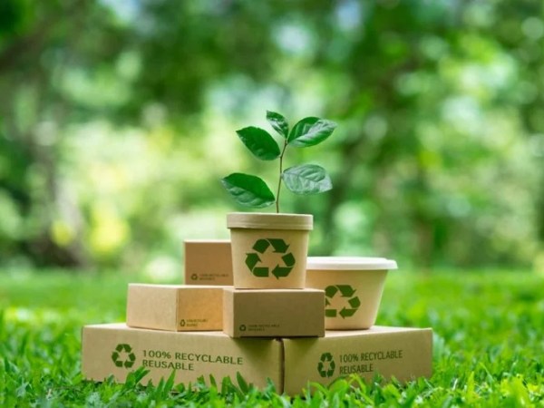 持続可能なパッケージングのダークサイド